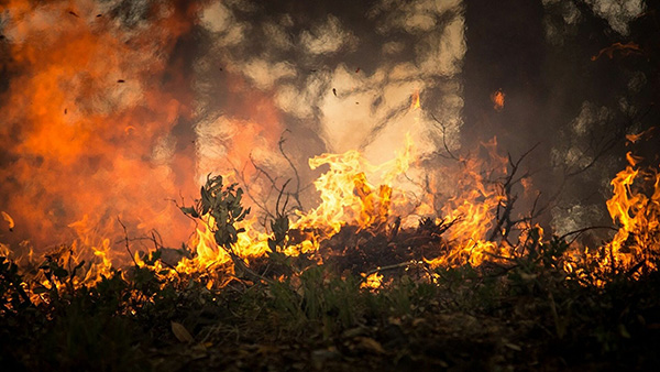 Incendio en el Parque Nacional Alejandro de Humboldt, Cuba. Foto: mundo.sputniknews.com