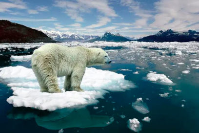 Efectos del cambio climático durarían milenios, advierte informe de ONU