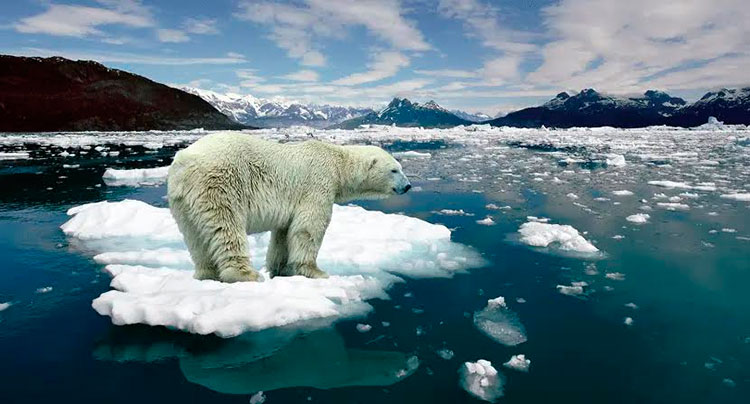 La velocidad a la que se produce el calentamiento del Ártico es más del doble que la media mundial. En general, la tasa media de calentamiento observada entre 2006 y 2018 se ha acelerado en comparación con el período comprendido entre 1971 y 2006. Foto: Tomada de Meteorología en Red