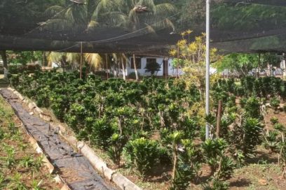 Aprovechar la mesa servida