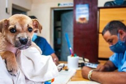 Respalda Cuba proyecto internacional contra enfermedades zoonóticas