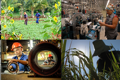 Anuario estadístico de Cuba revela comportamiento del empleo y los salarios en 2020