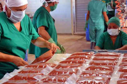 Producción de alimentos, prioridad en constitución de primeras Mipymes (+ Video)