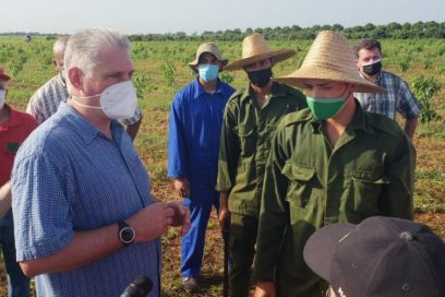 Díaz-Canel recorre polo productivo de Gamarra en el municipio Güines