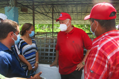Vincular los trabajadores a los resultados productivos