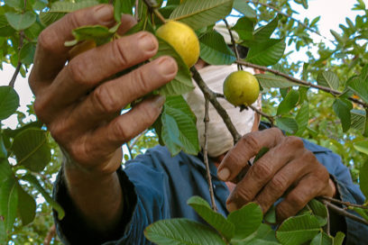 Más dinero para producir alimentos  (+Infografía)