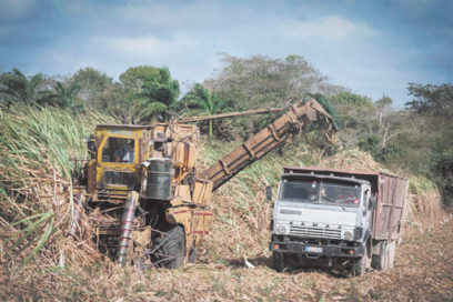 AzCuba trae buenas nuevas