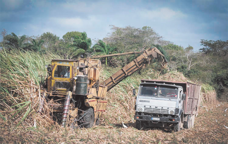 Foto: René Pérez Massola