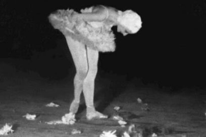 Ballet Nacional de Cuba y FEU celebran aniversario 65 de función de desagravio a Alicia Alonso