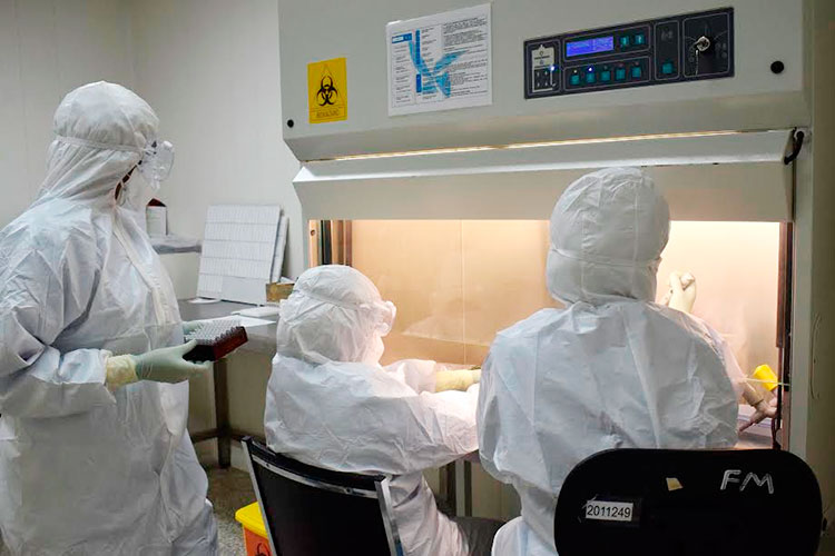 El Laboratorio de Biología Molecular cuenta con un equipo profesional y consagrado que, en paralelo, lleva a cabo otras investigaciones. Foto: Agustín Borrego