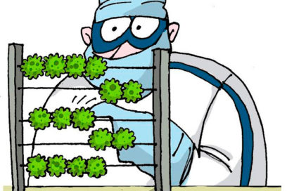 Vuelven a incrementarse los casos positivos a la COVID-19