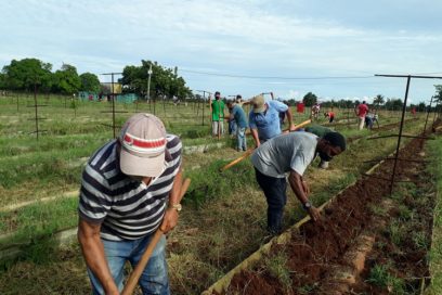 La juventud trabajadora en defensa del país (+Fotos)