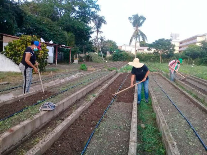 Foto: Cortesía de la CTC