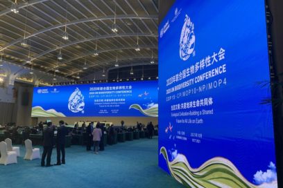 Ratifica Cuba en COP15 compromiso de protección a la diversidad biológica