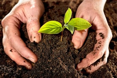 Normas jurídicas a favor del suelo y el uso de fertilizantes (+ Gaceta Oficial)