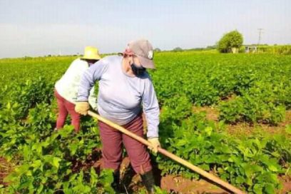 La patria siempre podrá contar con las matanceras