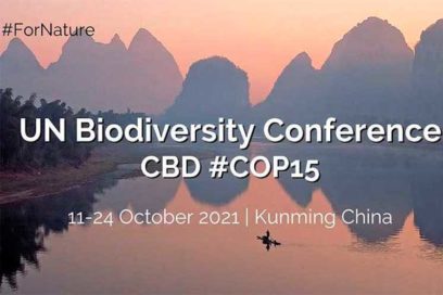 Comienza en China cumbre mundial sobre biodiversidad COP 15