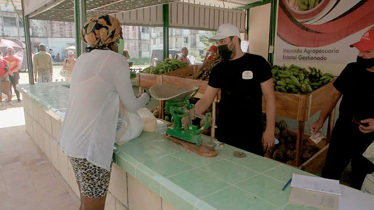 Los mercados agropecuarios estatales gestionados tienen ante sí el reto de la estabilidad en las ofertas y la calidad de las mismas. Foto: Pedro Paredes Hernández