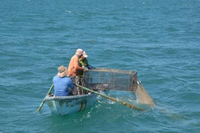 Ingenio, fuente de ahorro