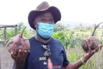 Destacado porcicultor guantanamero se crece en la producción de alimentos