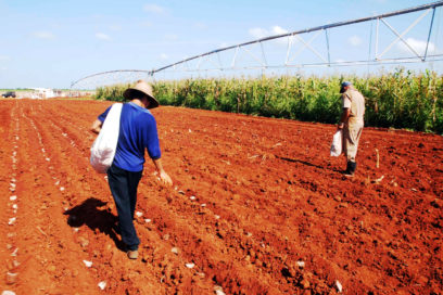 Prosigue en Cienfuegos aumento de interés por el empleo