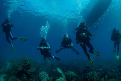 Ya compiten en FOTOSUB aficionados al lente (+Fotos y Video)