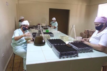 Será en Matanzas festejo nacional por el Día del Trabajador Farmacéutico