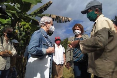 Integrar saberes en la implementación del Plan de Seguridad Alimentaria y Nutricional