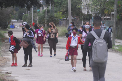 Titiriteros no duermen, los títeres siguen despiertos (+ Fotos)