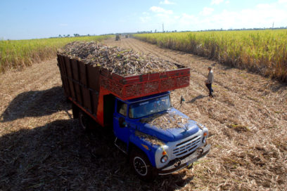 Cienfuegos se prepara para inicio de la zafra azucarera 2020-2021