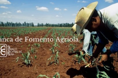 Destacan potencialidades de Banca de Fomento Agrícola de Cuba