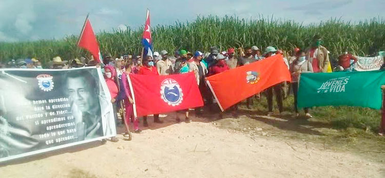 La jornada de trabajo voluntario en Sancti Spíritus concluyó con un acto de reafirmación revolucionaria. Foto: CTC Sancti Spíritus