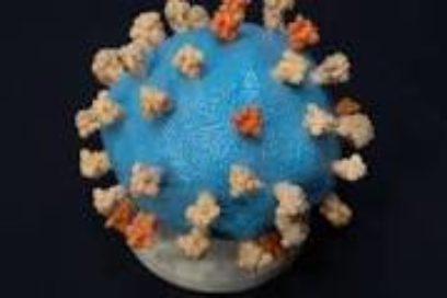 Detectan nueva variante del Sars-Cov2 en Sudáfrica