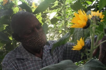 RETRATOS: Macurán, el abuelito que siembra (+Fotos)
