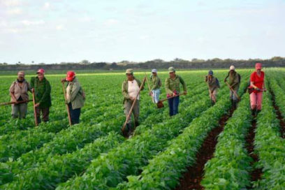 Allanan el camino a la producción agropecuaria