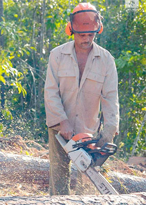 En las más intricadas áreas boscosas laboran obreros con arraigo al trabajo duro. Foto: Cortesía de Edelio Torres
