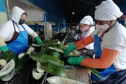 A la vanguardia unidad empresarial de Pinar del Río (+ Fotos)