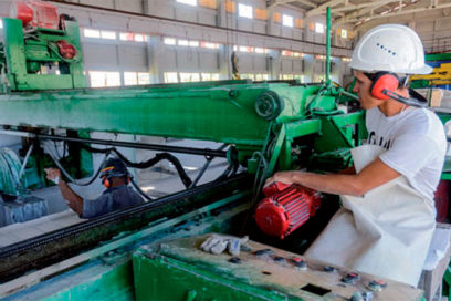 La empresa socialista y los nuevos actores económicos