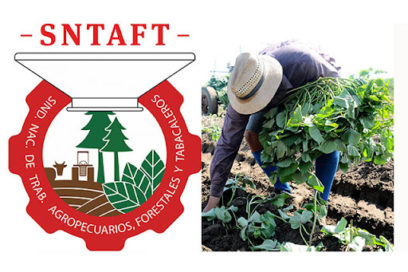 Agropecuarios, Forestales y Tabacaleros: movilizar a los trabajadores en la toma decisiones