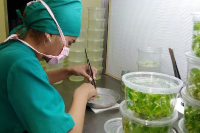 Día de la Ciencia: Centro de Bioplantas promete (+Fotos)