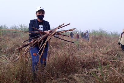 Agroindustria azucarera se benefició con aporte del movimiento sindical