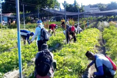 CTC: la motivación de su cumpleaños en Las Tunas