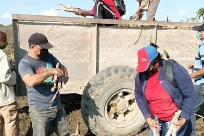 Acciones de zafra concluyen trabajos voluntarios en Guantánamo