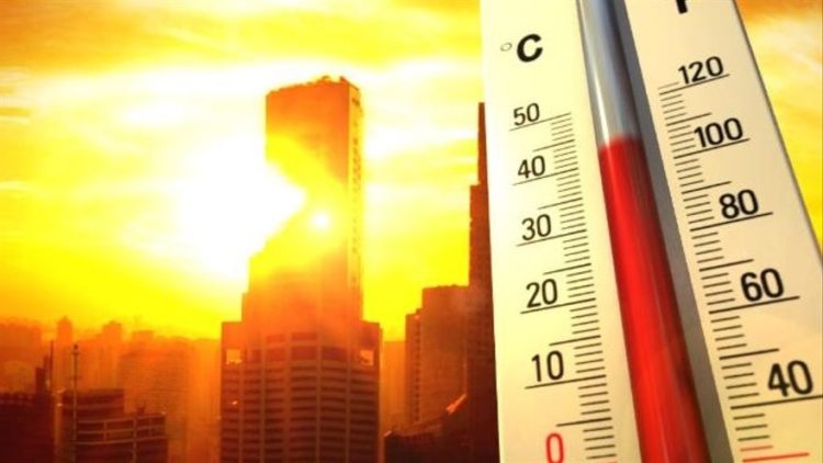 El principal impulsor de las olas de calor es el aumento general de la temperatura media global debido al cambio climático, afirman los científicos. Tomada de: El Diario