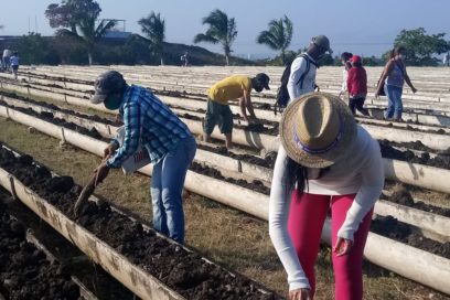 Impulso productivo en saludos a los 83 años de la CTC