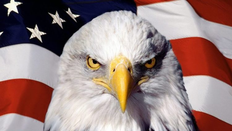 aguila americana