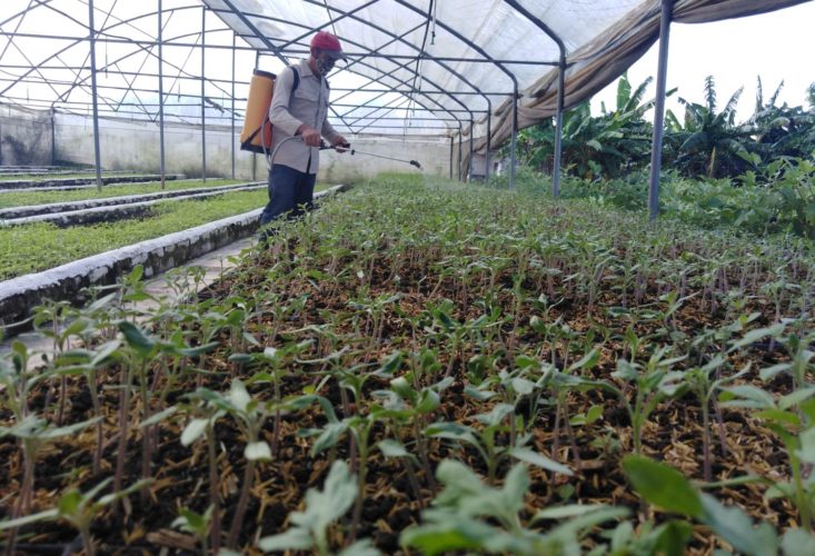 Debido a la complejidad del contexto actual, el cumplimiento de los planes productivos demandará que los trabajadores se esfuercen y busquen las reservar necesarias y apelen a la creación de alternativas. Foto: Gretel Díaz Montalvo