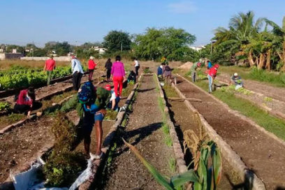 Activo en la producción de alimentos movimiento sindical de Holguín