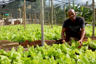 El empeño de Manolín (+ Fotos)