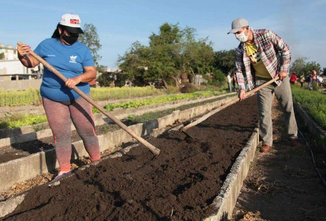 Los trabajadores se movilizan a la recuperación económica del territorio. Foto: Tomada de Internet